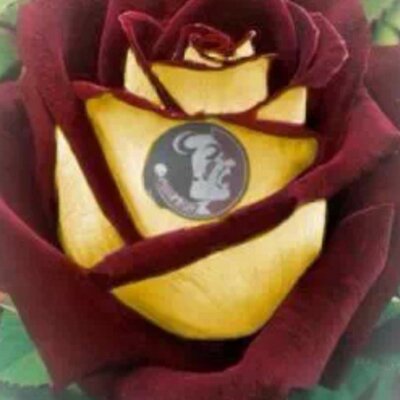 Profile Picture of Scott Peckham (@scottpeckham11) on Twitter