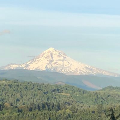 Profile Picture of Kevin Thomas (@Kevin_Thomas21) on Twitter