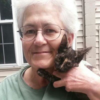 Profile Picture of Paula Whitfield (@WhitfieldPaula) on Twitter