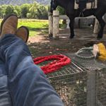 Profile Picture of Servando Alvarez (@servando.alvarez.395) on Instagram