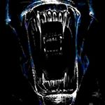 Profile Picture of matthewcovenas (@matthewcovenas49) on Instagram