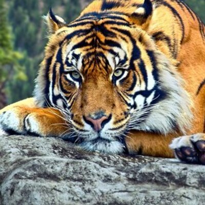 Profile Picture of Jose Luis Cerros (@cerros_jose) on Twitter