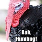 Profile Picture of Lisa Brydges (@toxixkatz) on Instagram