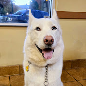 Profile Picture of John DUAN (@johnduan) on Youtube