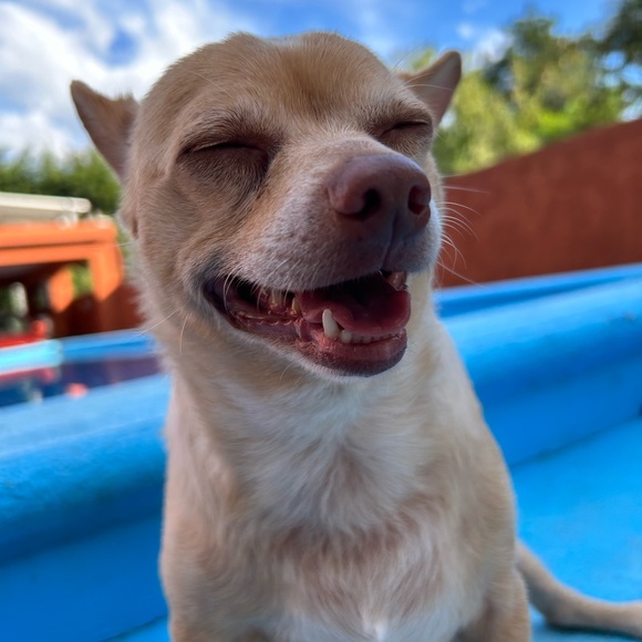 Profile Picture of Rosa Gonzalez (@taurusstorm) on Poshmark