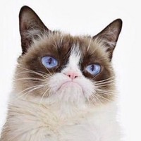 Profile Picture of Andrew Buchanan (@andrew-buchanan-62) on Quora