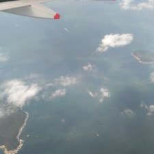 Profile Picture of Robin Luo (@robin_zixuan) on Twitter