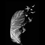 Profile Picture of Műśťâfă Møhàméď (@Műśťâfă-Møhàméď) on Facebook