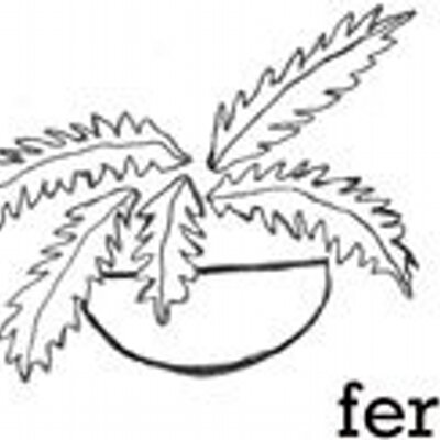 Profile Picture of Jason Roskey (@fernhandcrafted) on Twitter