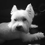 Profile Picture of Julia Bramble (@julia.bramble) on Instagram