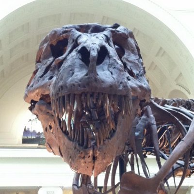 Profile Picture of Jason Kahler (@JasonKahler3) on Twitter