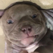 Profile Picture of Alice Rangel (@alicerangel6421) on Youtube