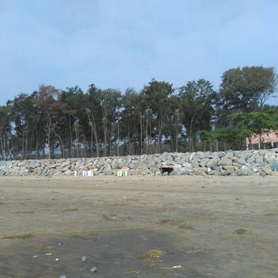 Profile Picture of Anindita Chatterjee (@Anindit80886054) on Twitter