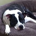 Profile Picture of Glenda Sharp (@gsharp0355) on Instagram