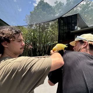 Profile Picture of schulzjared (@schulzjared) on Instagram