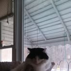 Profile Picture of Barry Gurnee (@barry.gurnee) on Facebook