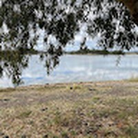 Profile Picture of Pearl Mitchell (@pearl-mitchell-16) on Quora