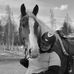 Profile Picture of Kim Falk (@kim.falk.7524) on Facebook