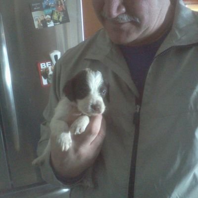 Profile Picture of Gary Notaro (@NotaroGary) on Twitter