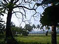 Profile Picture of Racholon Wikipedia
