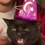 Profile Picture of Jordan O'Connell (@palevista) on Instagram