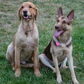 Profile Picture of Wesley Nolan (@flhr2003) on Pinterest