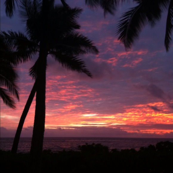 Profile Picture of Teresa Vandre (@vandrechic) on Poshmark