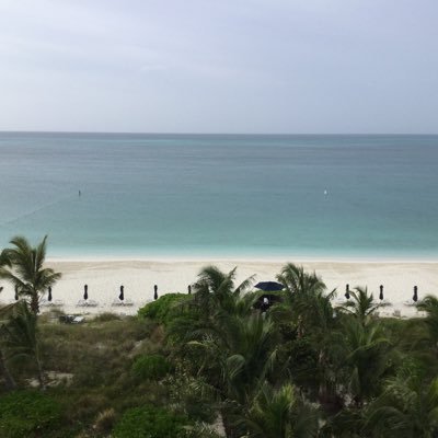 Profile Picture of Joe (@habern_michael) on Twitter