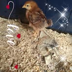 Profile Picture of Brianna Troxell (@brianna.troxell.77) on Facebook