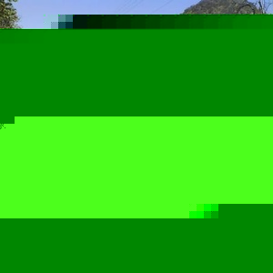 Profile Picture of Reyes Falcon (@115505229) on Myspace