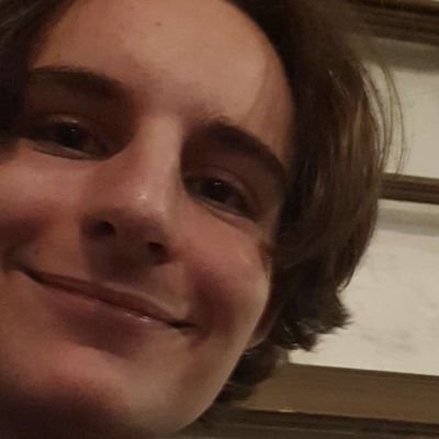 Profile Picture of Tobias Steiner (@tobias5Z) on Twitter