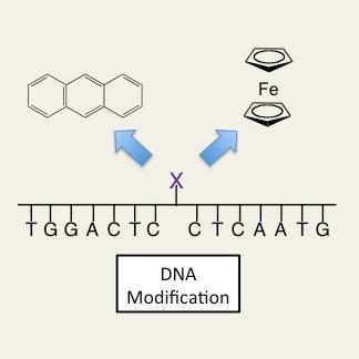Profile Picture of Jim Tucker Lab (@JimTucker_Group) on Twitter