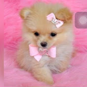 Profile Picture of Lisa Xx (@lisaxx5682) on Youtube