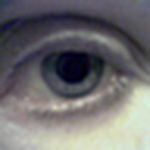 Profile Picture of Sharon Moore (@voight-kampff2019) on Flickr