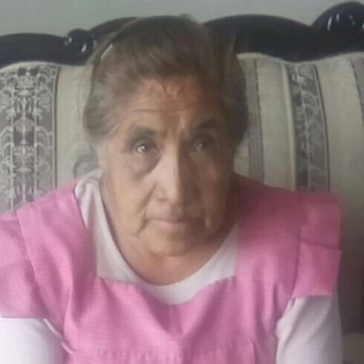 Isidra Rosa Chavez Porcayo - Twitter Profile Picture of Isidra Rosa Chavez Porcayo (@rosa_porcayo) on Twitter