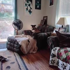 Profile Picture of Andrew Schoen (@andrew.schoen) on Tiktok