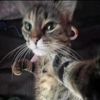 Profile Picture of Jeremy (@jeremycke) on Tiktok