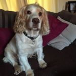 Profile Picture of Mandy Wheeler (@mandyweels) on Instagram