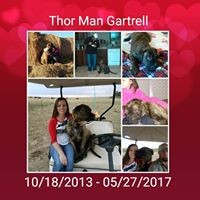 Profile Picture of Crystal Gartrell (@crystal-gartrell) on Quora