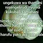 Profile Picture of Peter Bablo (@peter.bablo.39) on Instagram