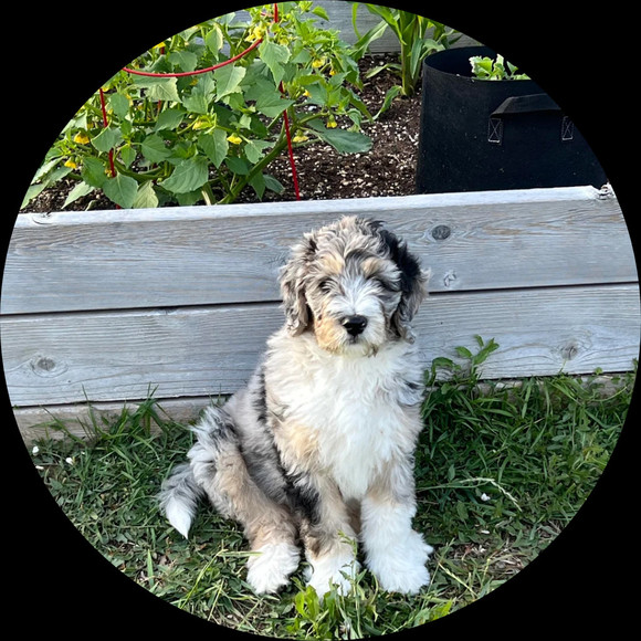 Profile Picture of Sukanya Chang (@sukanya_tsk_tsk) on Poshmark