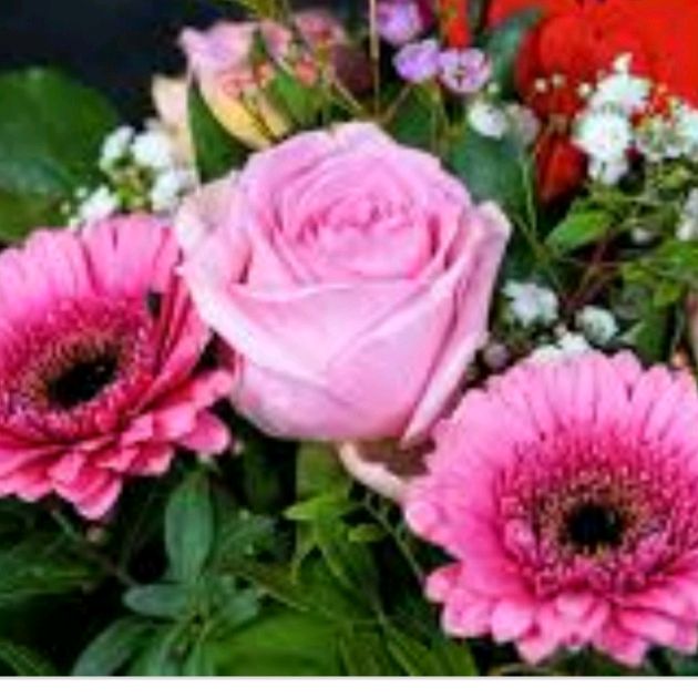 Profile Picture of shetty (@bharathishetty00) on Tiktok