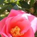 Profile Picture of Susan Meng (@susan.meng.169) on Facebook