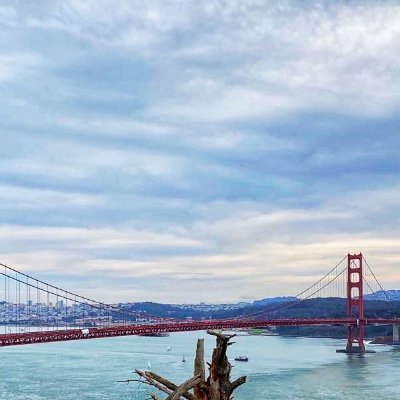 ED_0717 - Twitter Profile Picture of ED_0717 (@YiranDeng) on Twitter