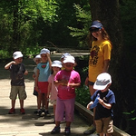 Profile Picture of Shawna Brown (@sprouts2014) on Flickr