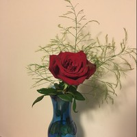 Profile Picture of James Hurtubise (@james-hurtubise-2) on Quora