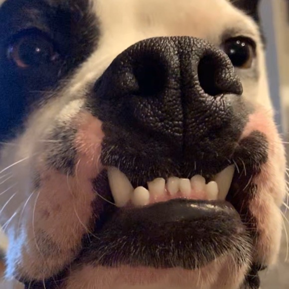 Will Cassibry - Poshmark Profile Picture of Will Cassibry (@willcassibry) on Poshmark