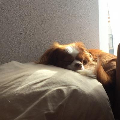 Profile Picture of David Pede (@echtlecker12) on Twitter