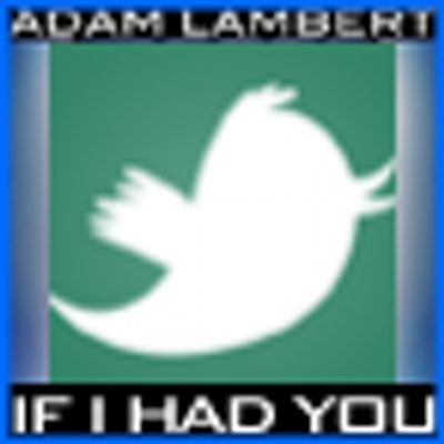 Profile Picture of Raquel Reitz (@guineapeaux) on Twitter