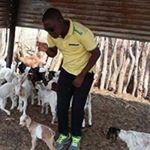 Profile Picture of Michael Daniel imbili (@michaeldanielimbili) on Instagram